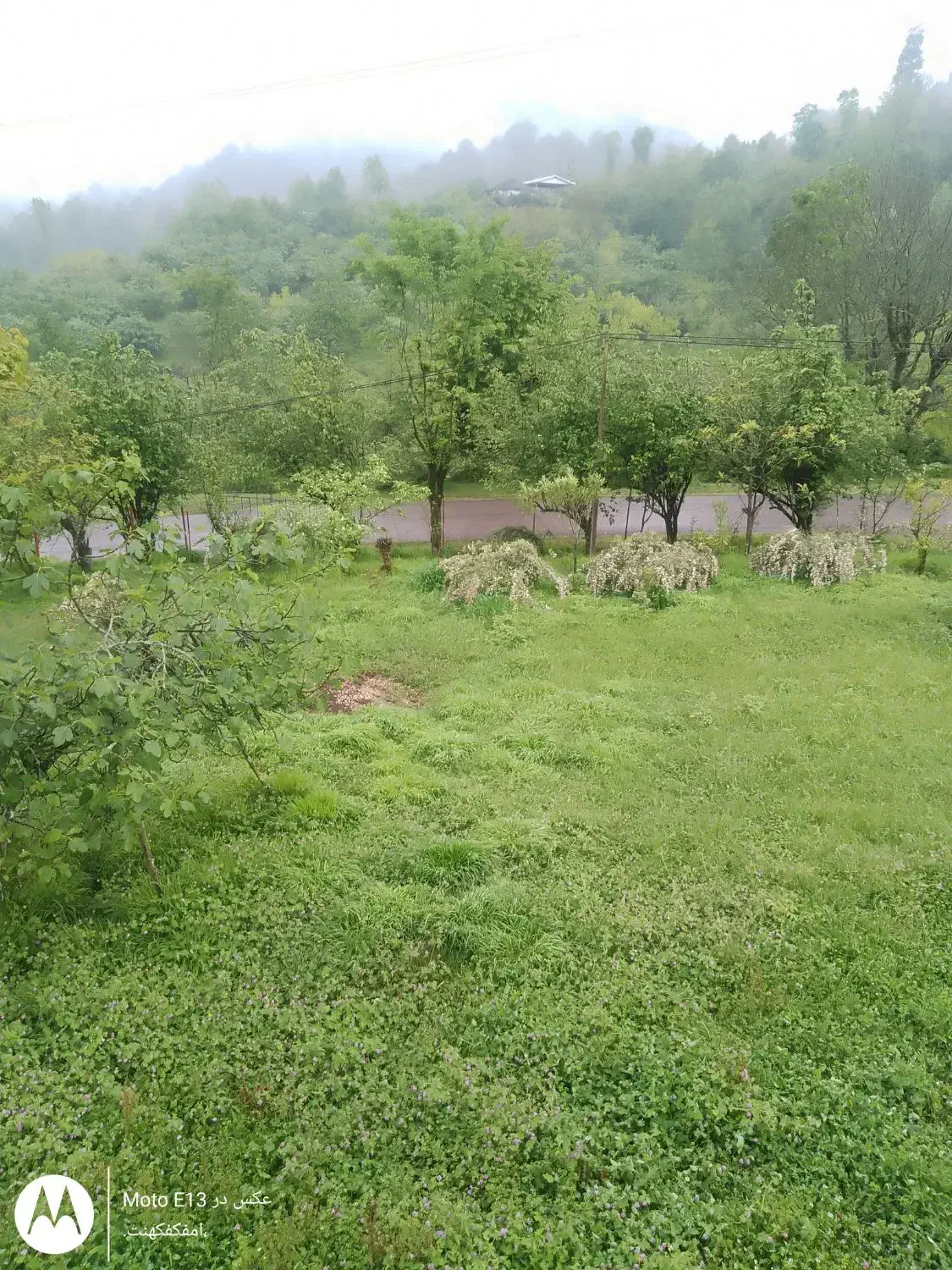 زمین در دل طبیعت