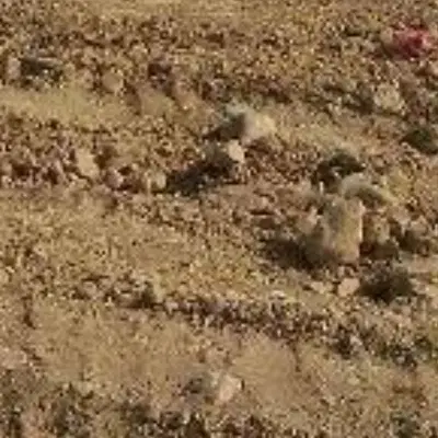 فروش زمین