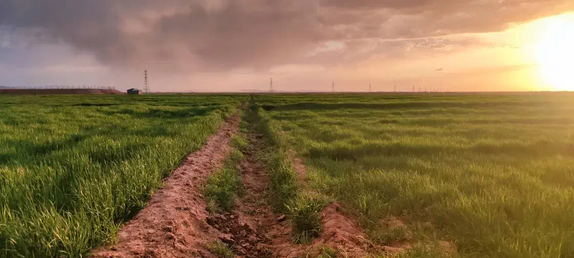 اب و  زمین کشاورزی