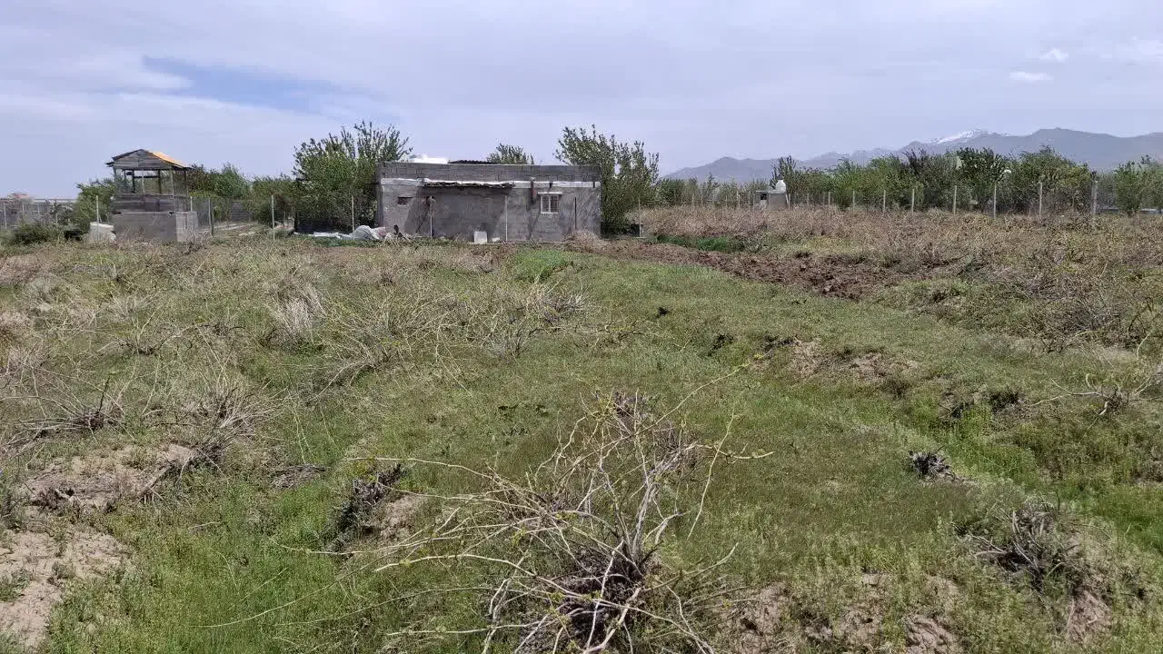 زمین باغ و انگور در صالح آباد