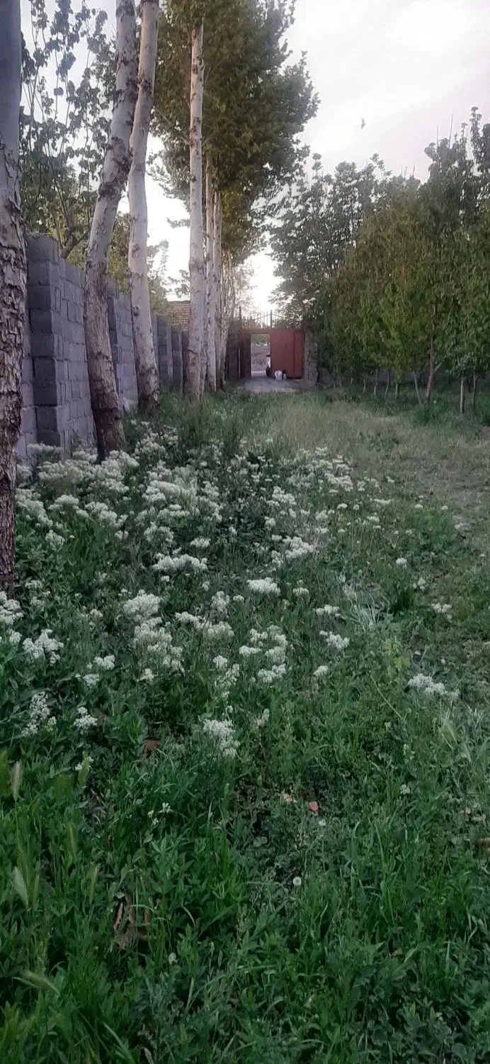 فروش باغ گیلاس