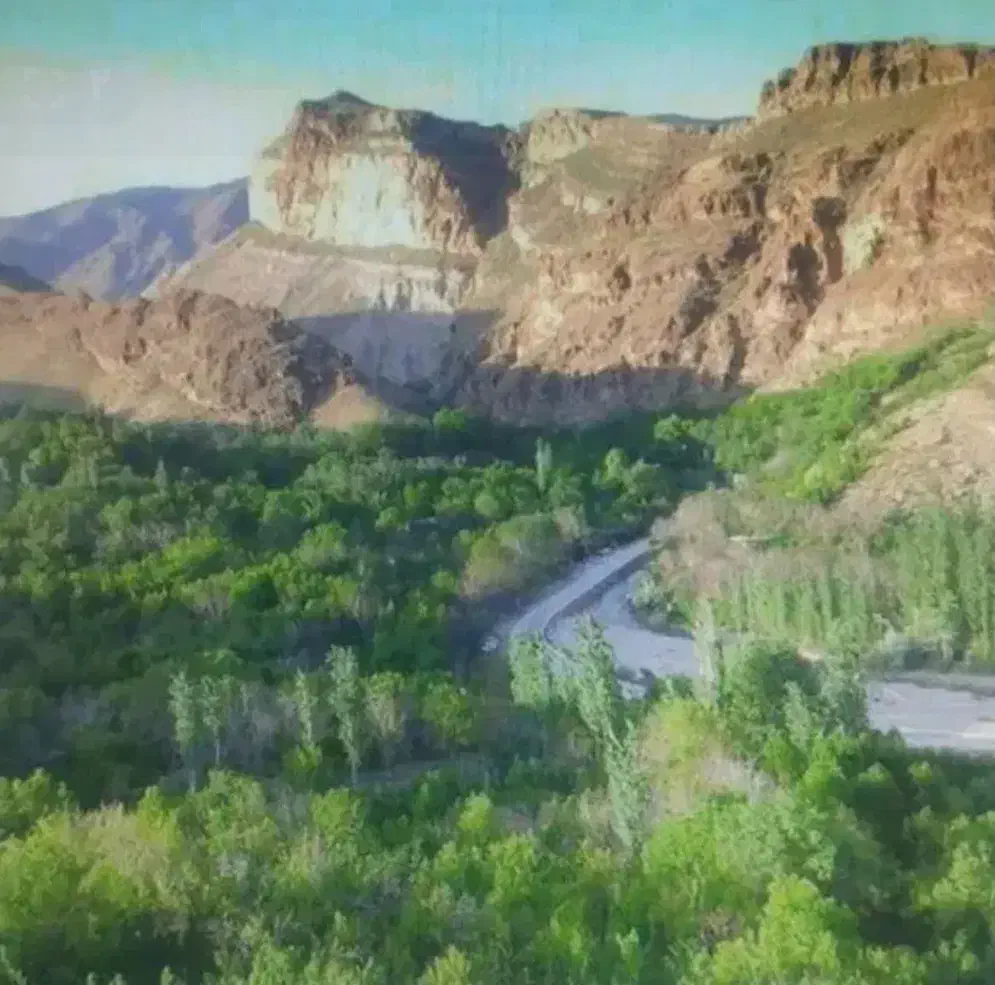 باغ بادرختان ۱۵ساله و سپیدار  باویو ابدی  مجوزساخت