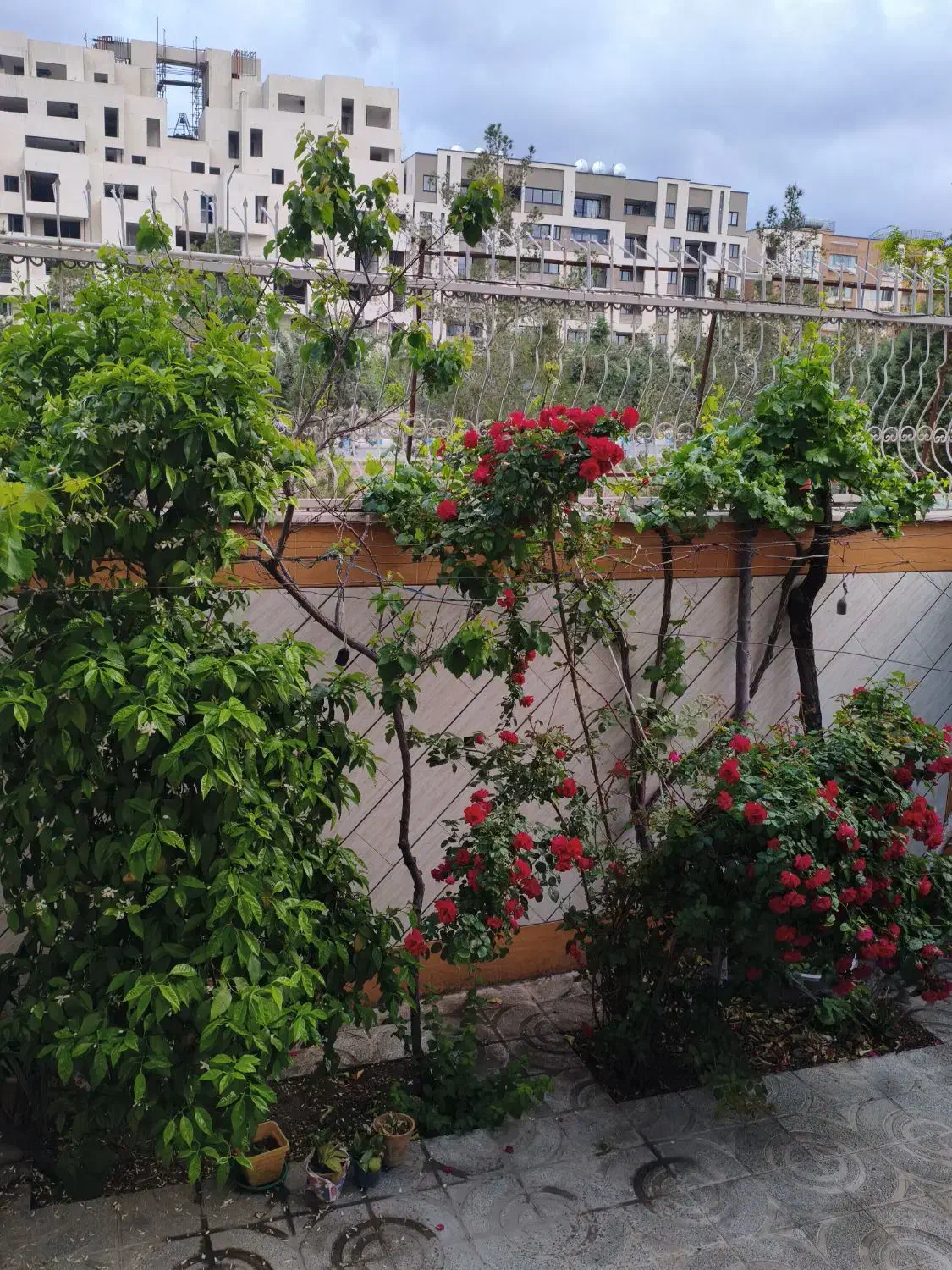 رهن و اجاره منزل سه طبقه ای برای ساختمان پزشکان