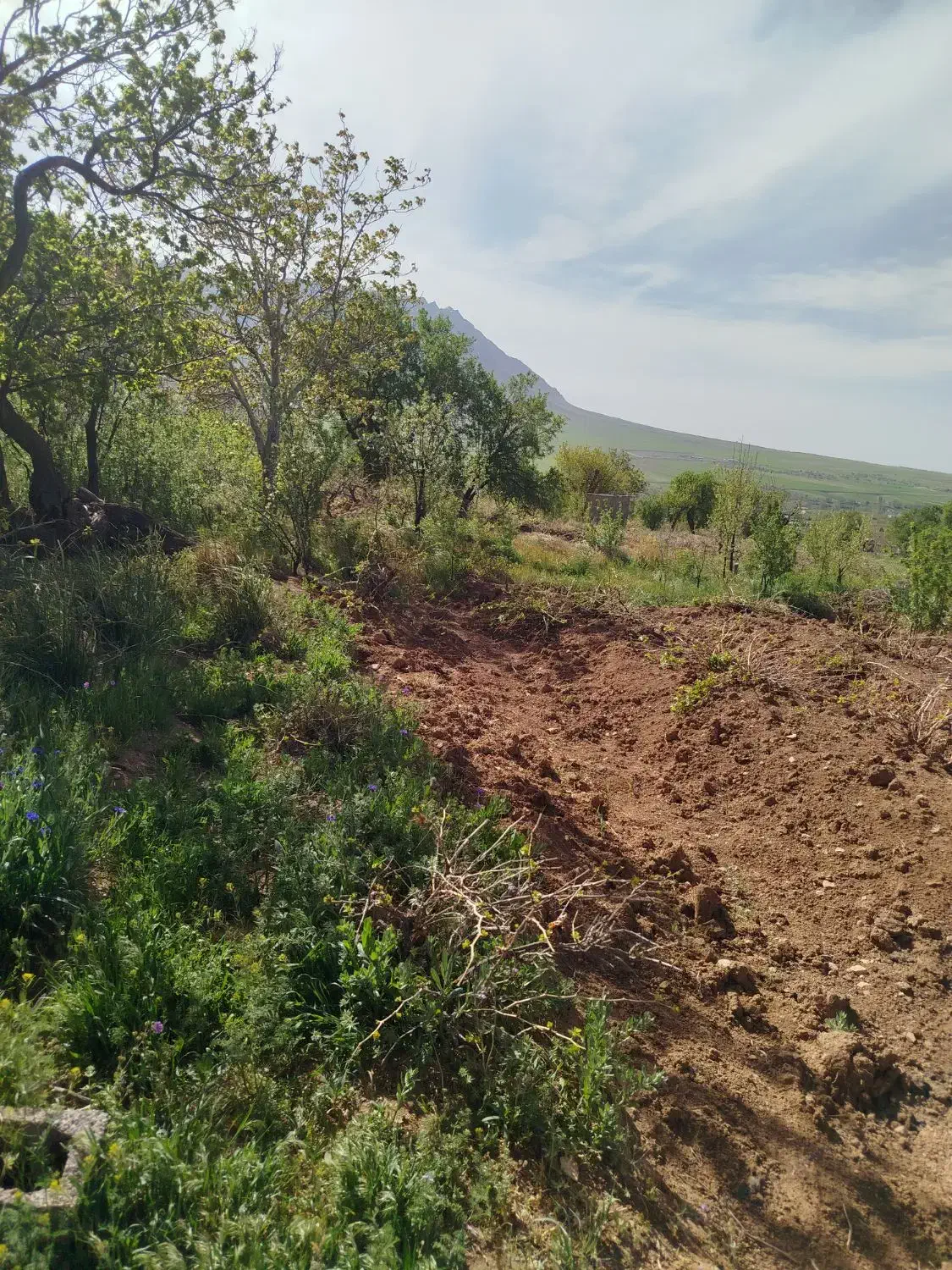 باغ بسیار عالی سرسبز در استانه