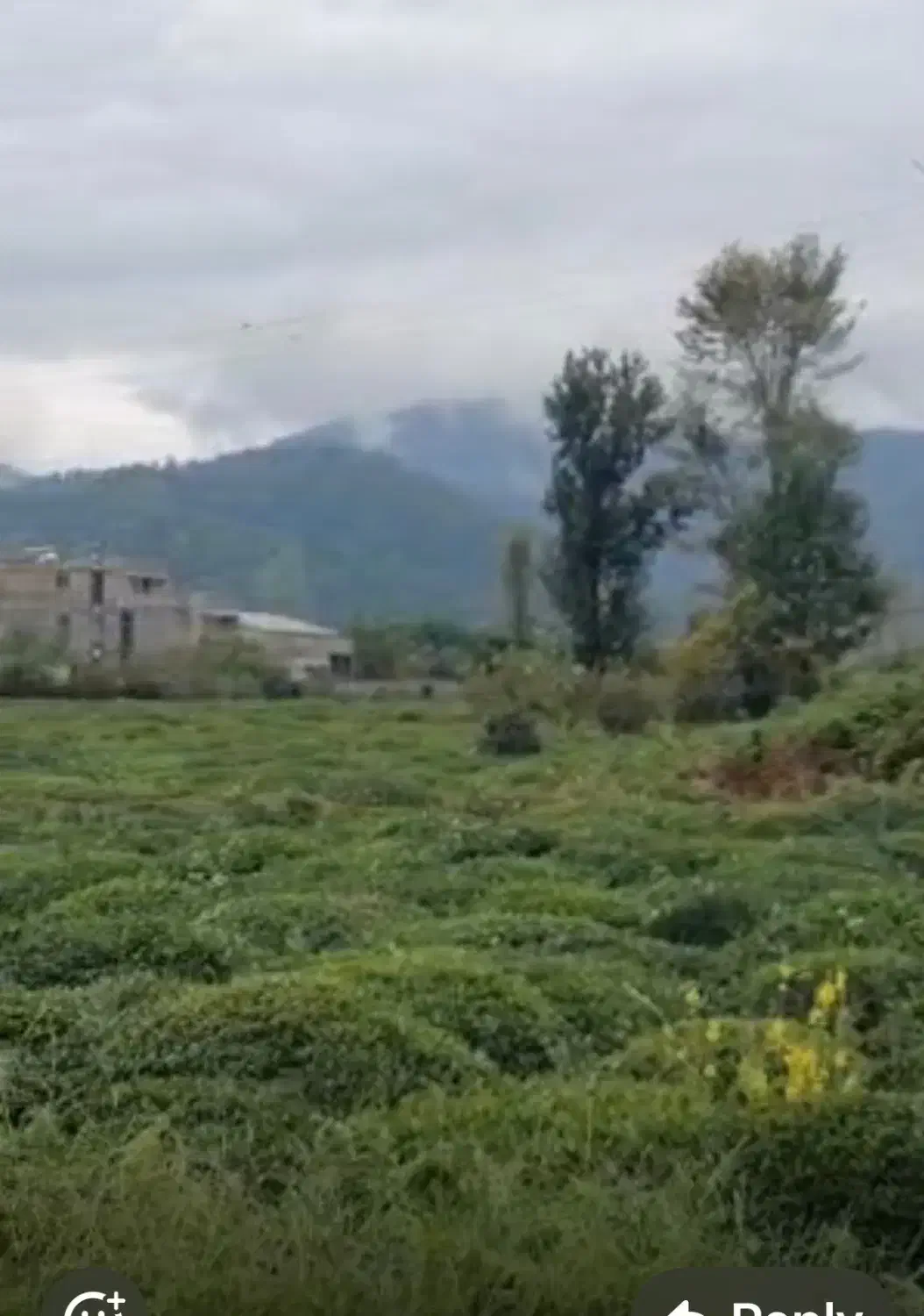 زمین در رامسر