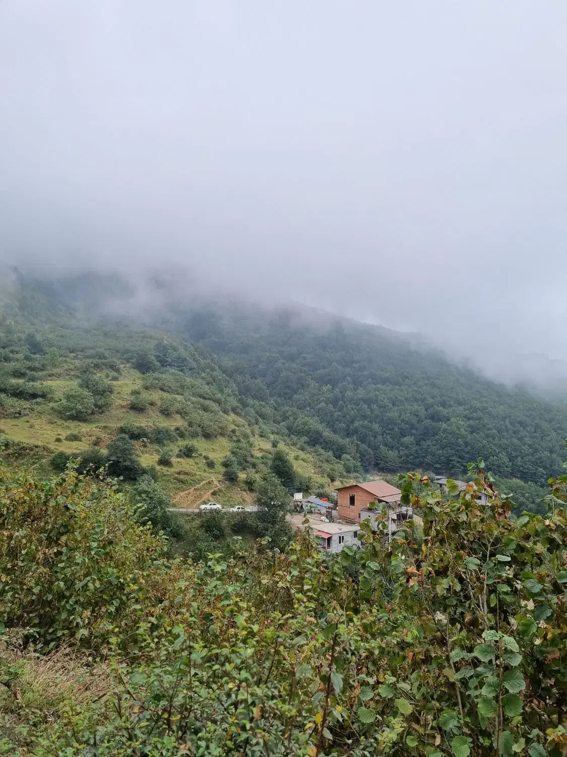 زمین مسکونی در ماهان