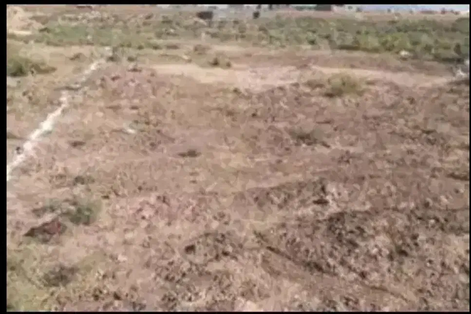 زمین مسکونی ده چنار( توی ده)