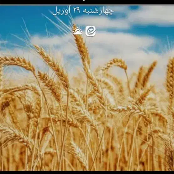 زمین فروشی در شهرارا۲۳