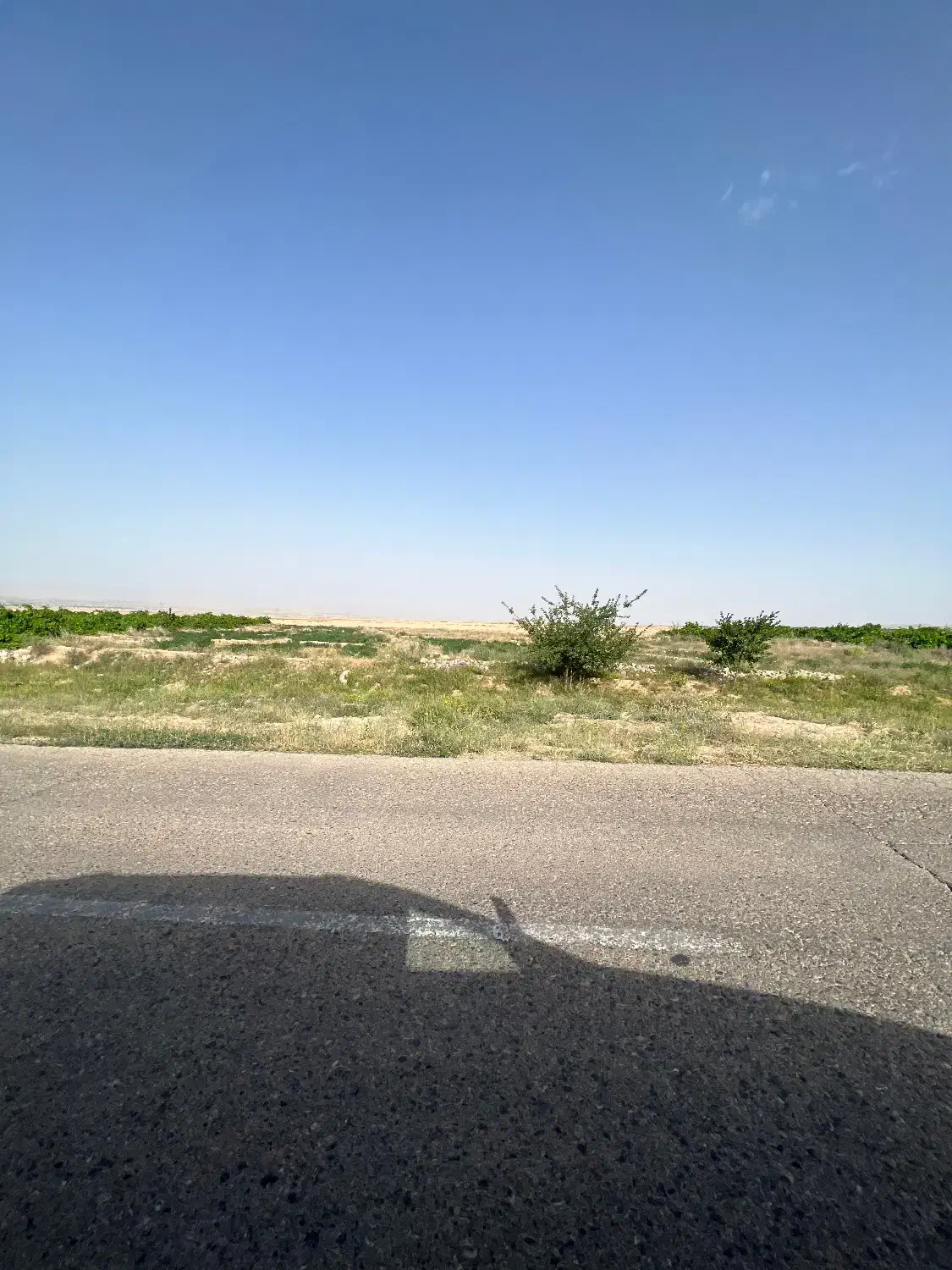 زمین باغ ویلا
