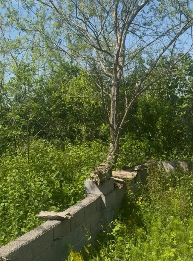 زمینی به مساحت ۳۰۰ متر در نشتارود