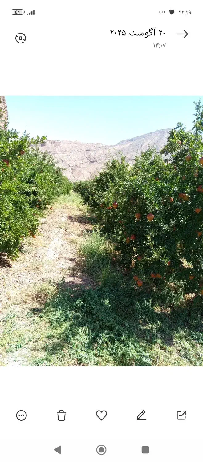 زمین ویلایی قطعات مختلف از دویست به بالا