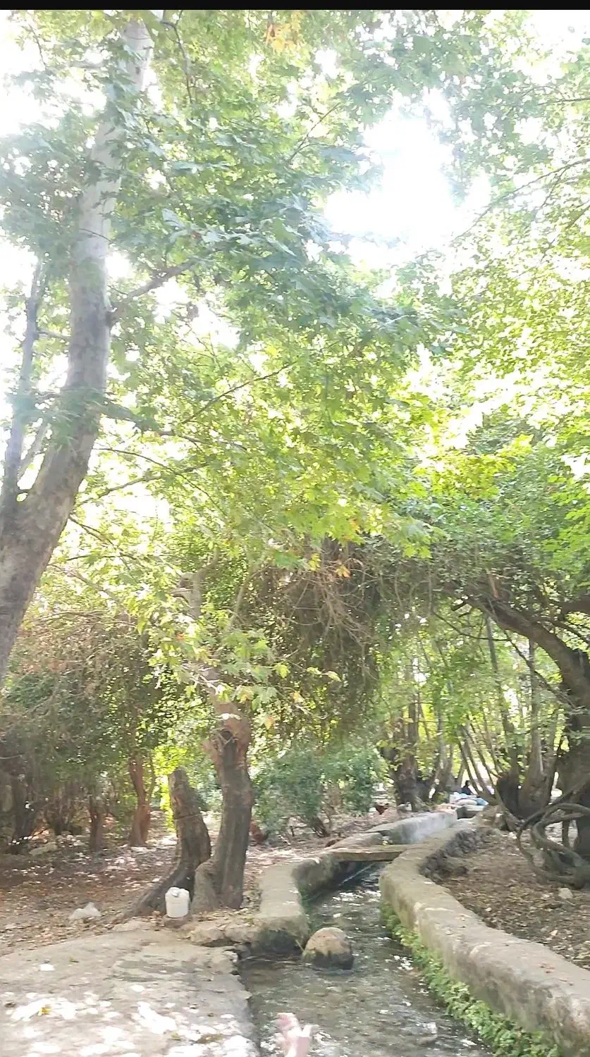اجاره باغ و اتاق  در سوسن .