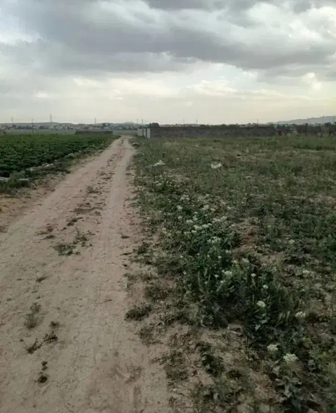 زمین ۸۰۰ متری خوش نقشه  نظرآباد