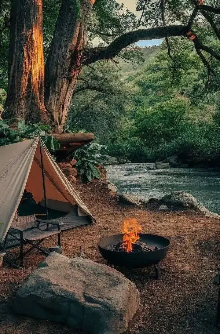 نیاز به همخونه موجه خانم