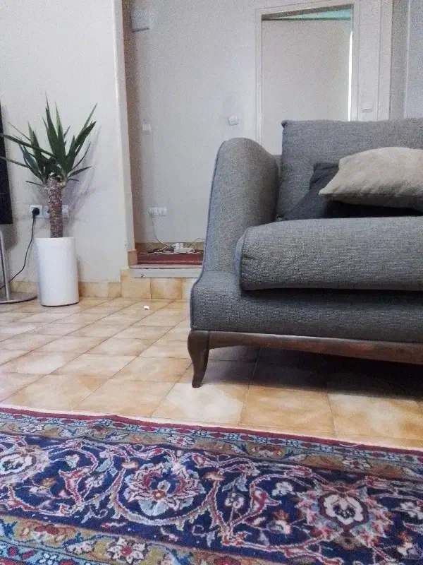 همخونه