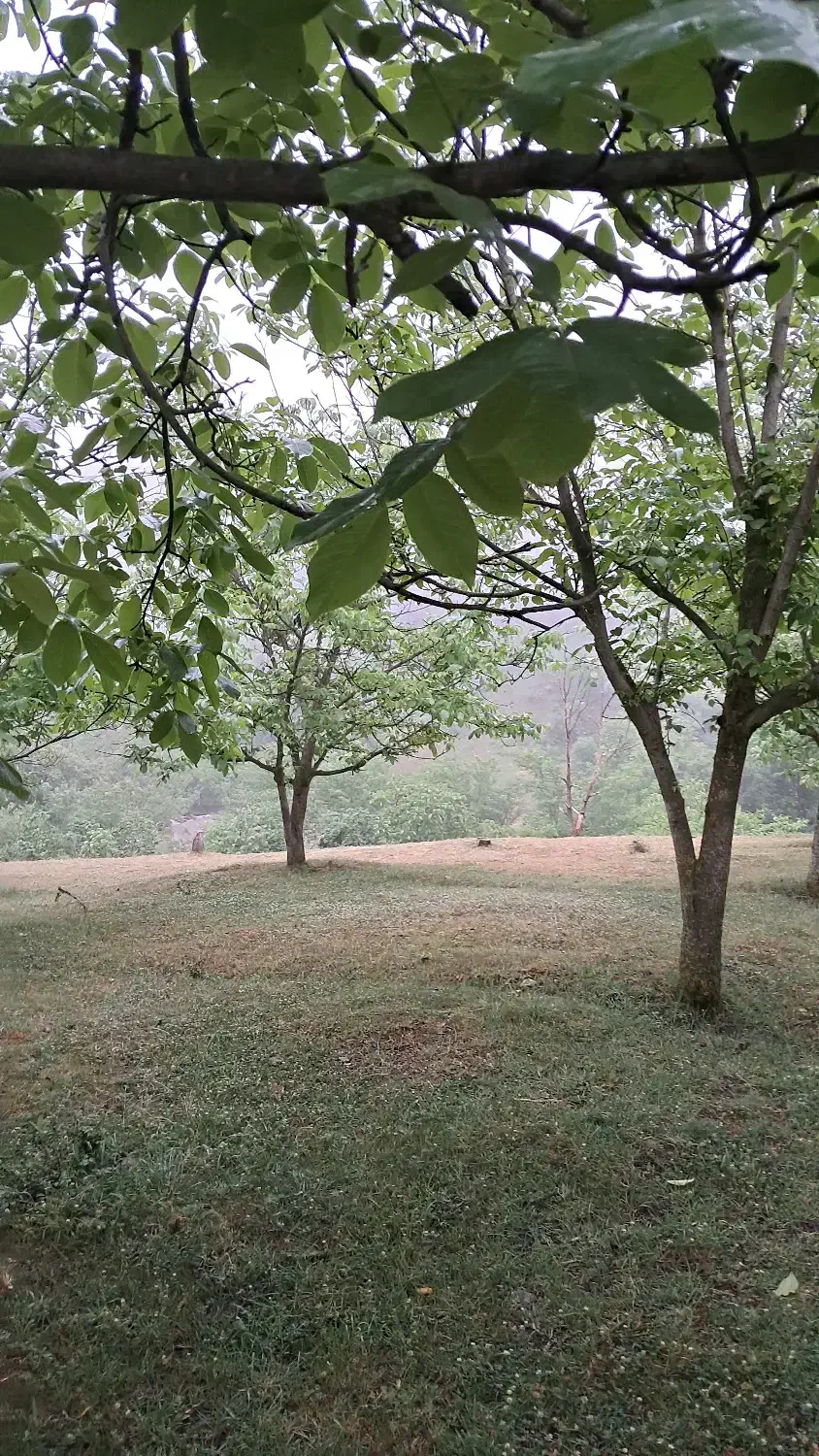کلبه سوئیسی چوبی