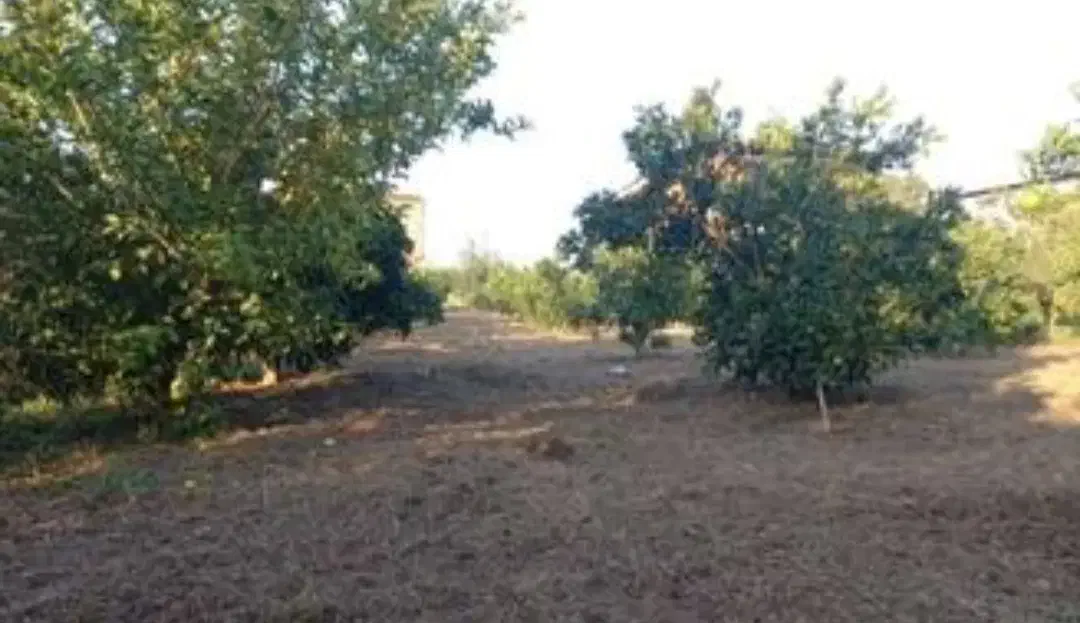 زمین سپاهان شهر