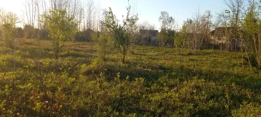 زمین در شمال کشور گیلان لاهیجان