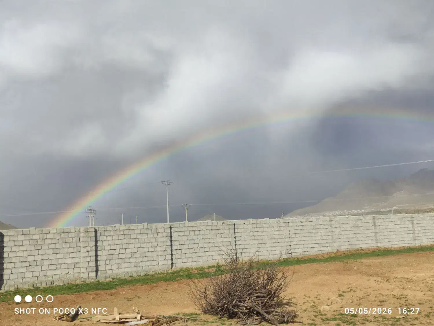 مشارکت در پرواربندی به یا گوساله