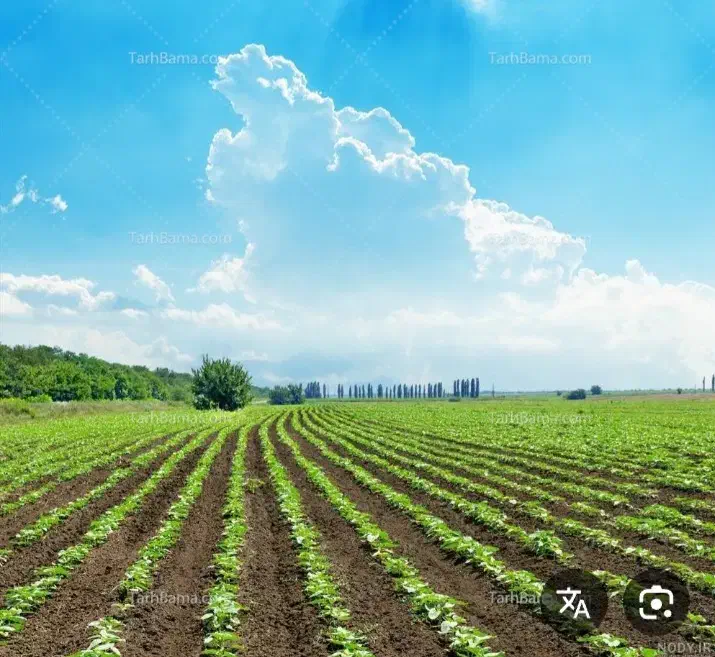 ۸۰۰۰ متر زمین کشاورزی