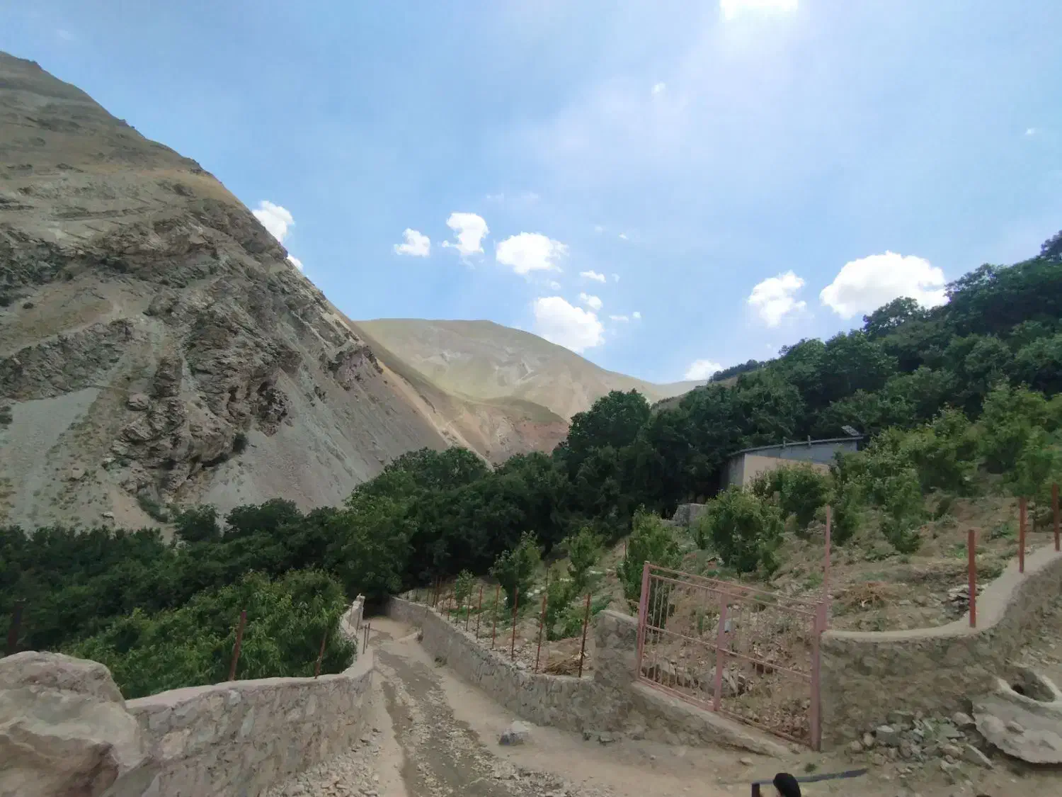 زمین مسکونی