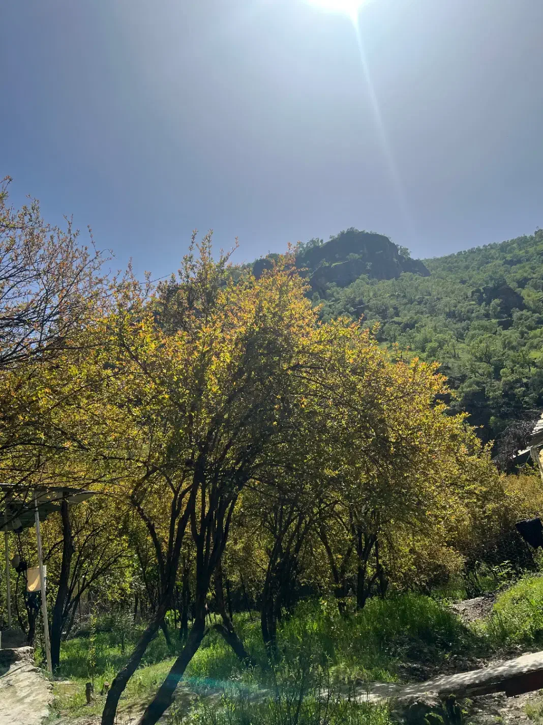 زمین_برجاده اصلی
