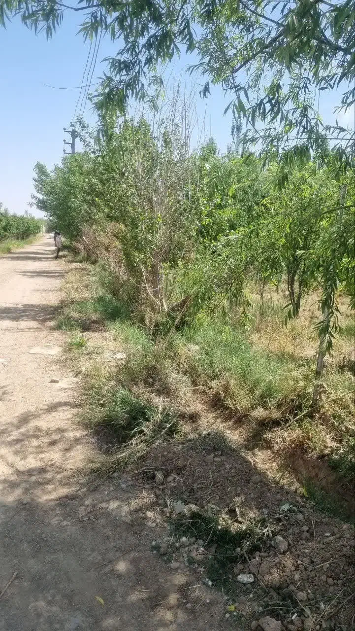 باغچه ۵۰۰متری