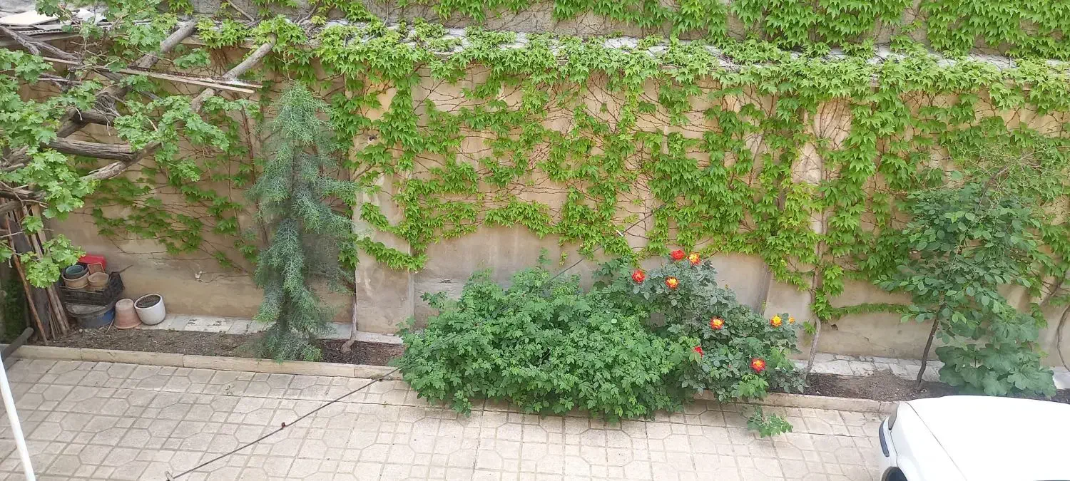 اجاره یک خوابه ۴_۱۹