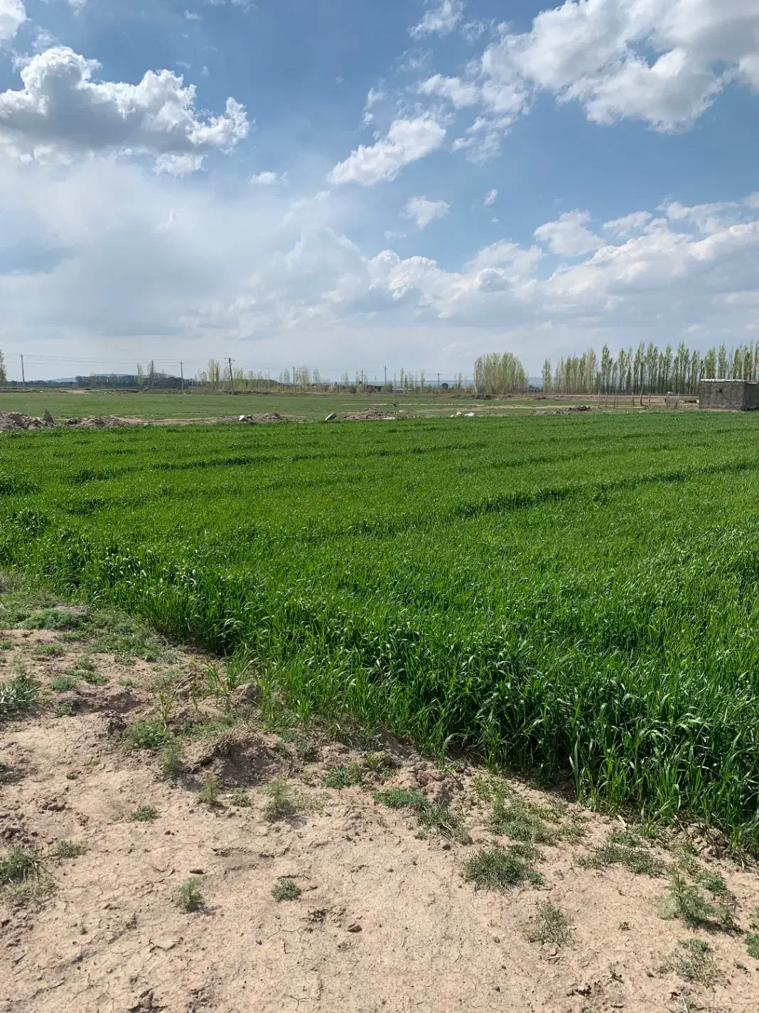 زمین کشاورزی اشتجران