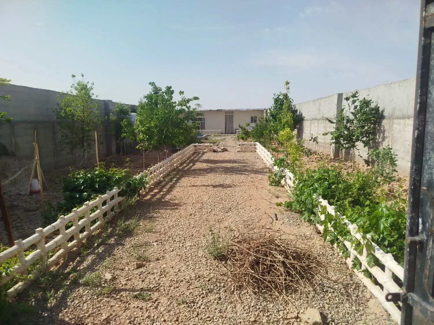 باغچه آماده و کامل