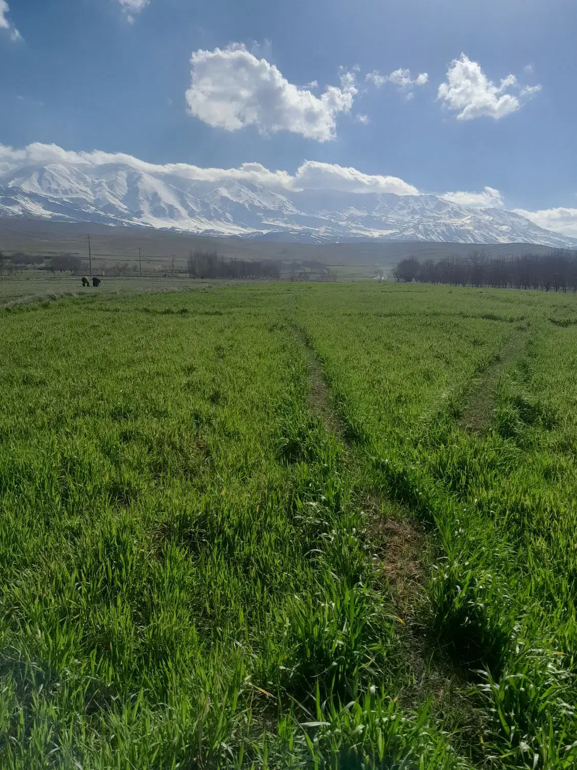 ویلایی دوطبقه ۶۰متری