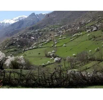یک قطعه زمین ییلاقی واقع در روستای ناتر