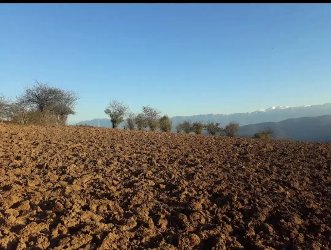 ۸۰۰۰ متر زمین کشاورزی در بخش دودانگه روستای مرگاب