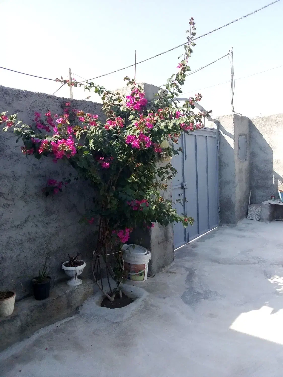 منزل ویلایی نزدیک برازجان