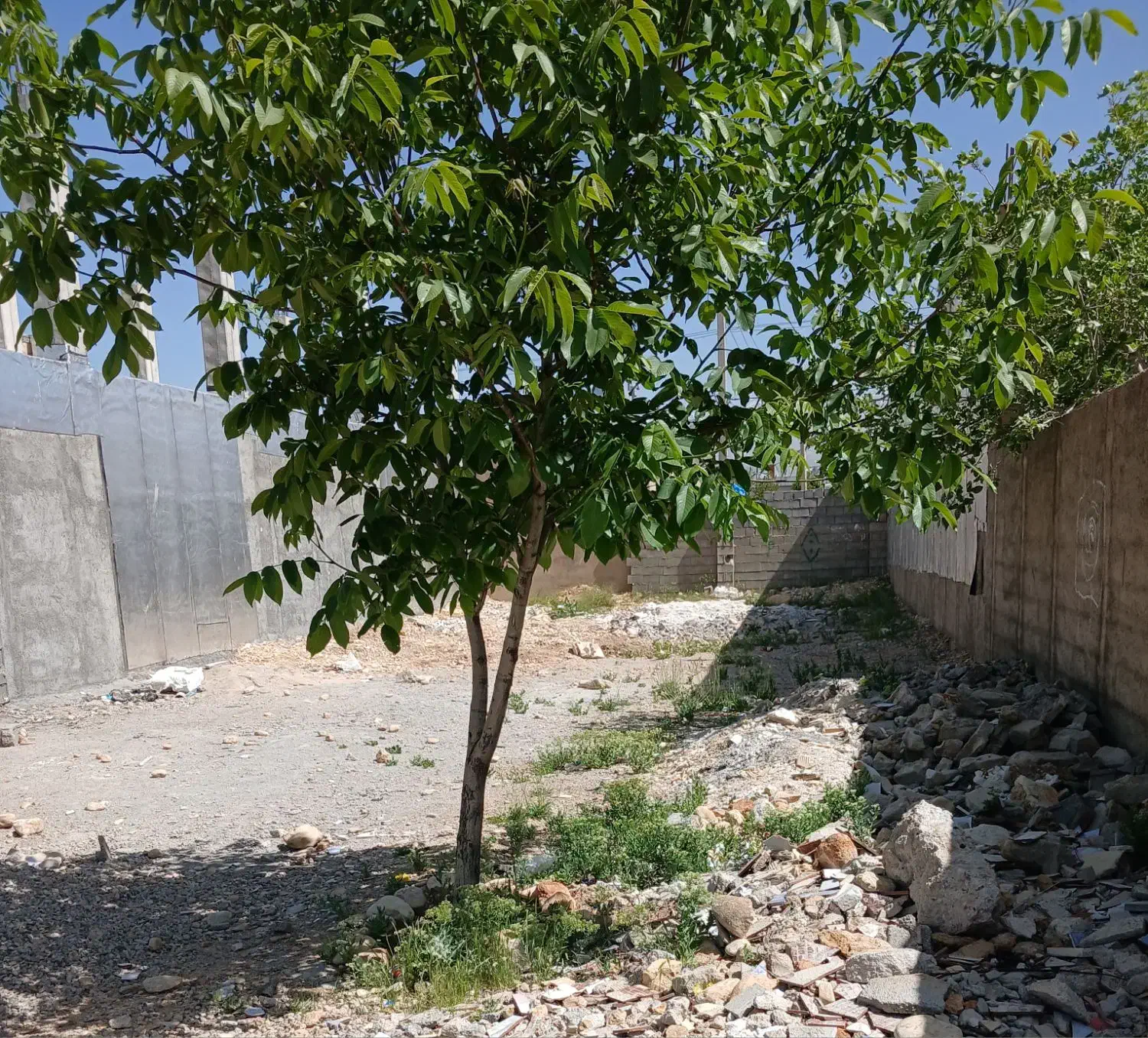 اجاره زمین مسکونی