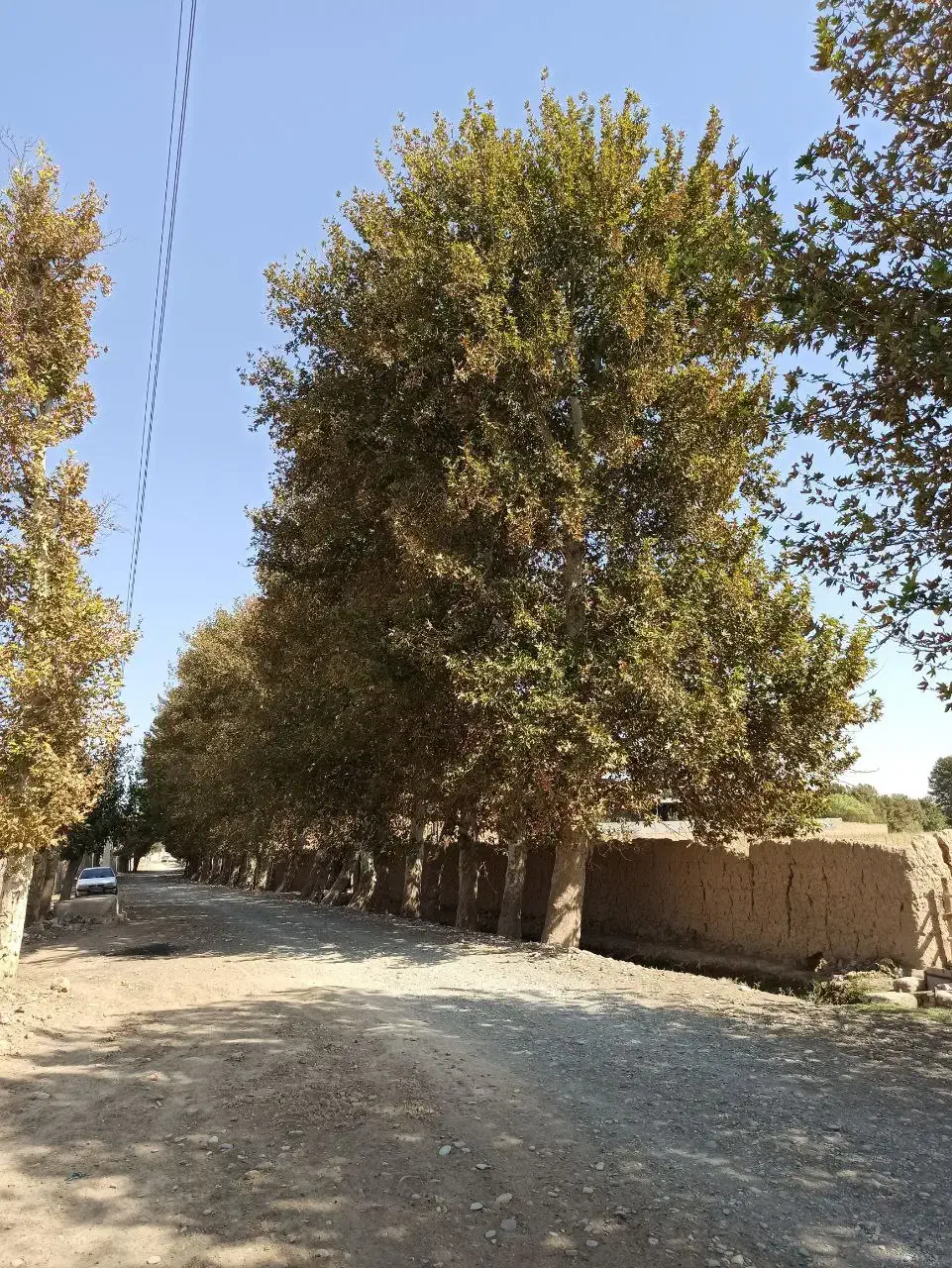 زمین داخل چهار دیواری