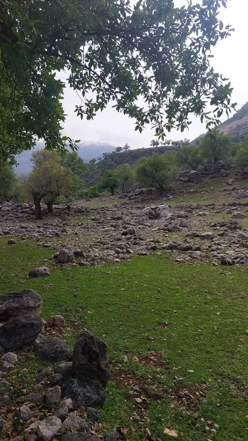 زمین مسکونی روبروی پارک صخره ای