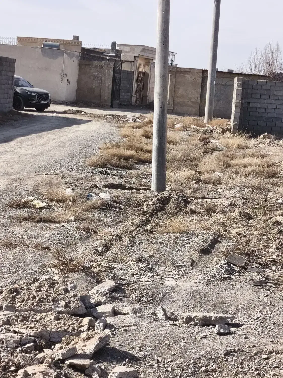 زمین باغی