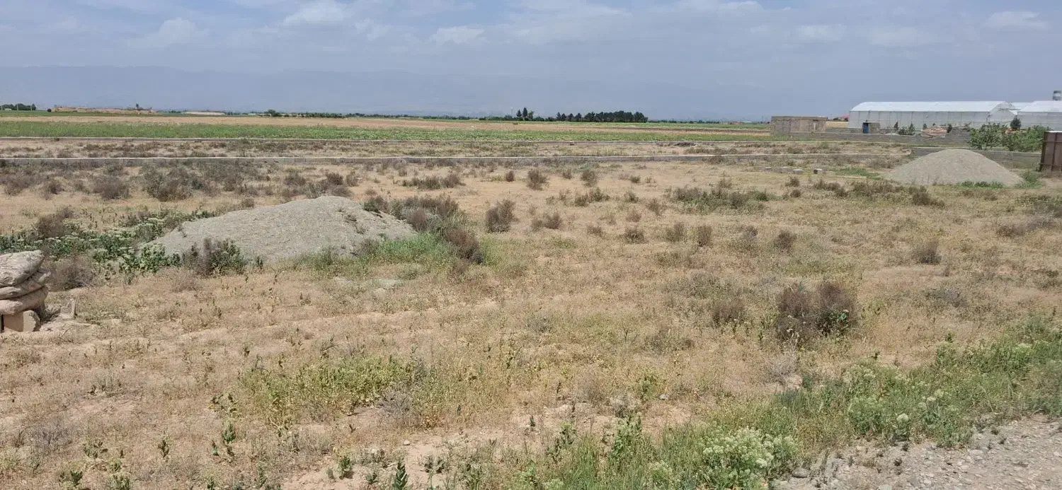 زمین کشاورزی