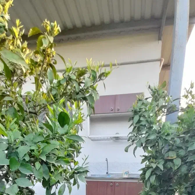 خونه باغ ۲۶۰۰ متری آبمال