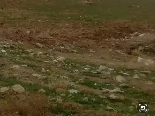 املاک