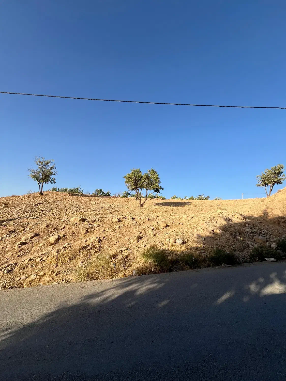 زمین برج