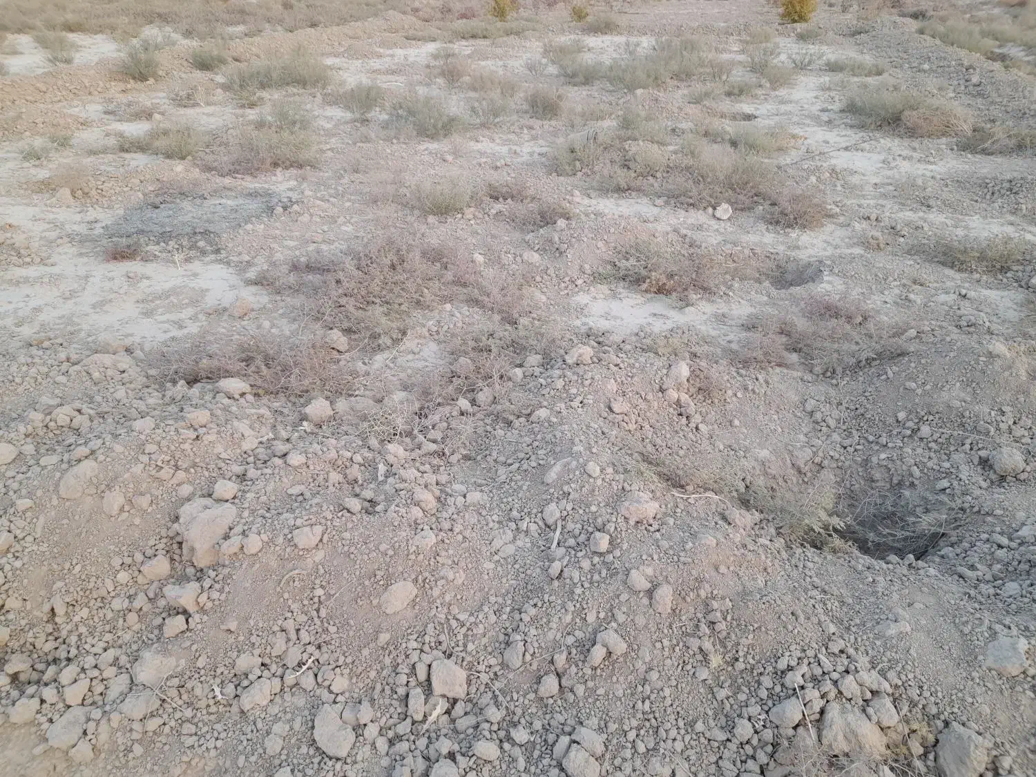 زمین مناسب سرمایه گذاری