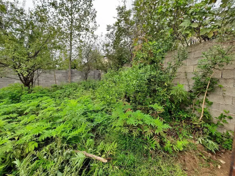 زمین مسکونی