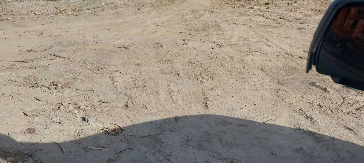 زمین جای قبرستان سرجو