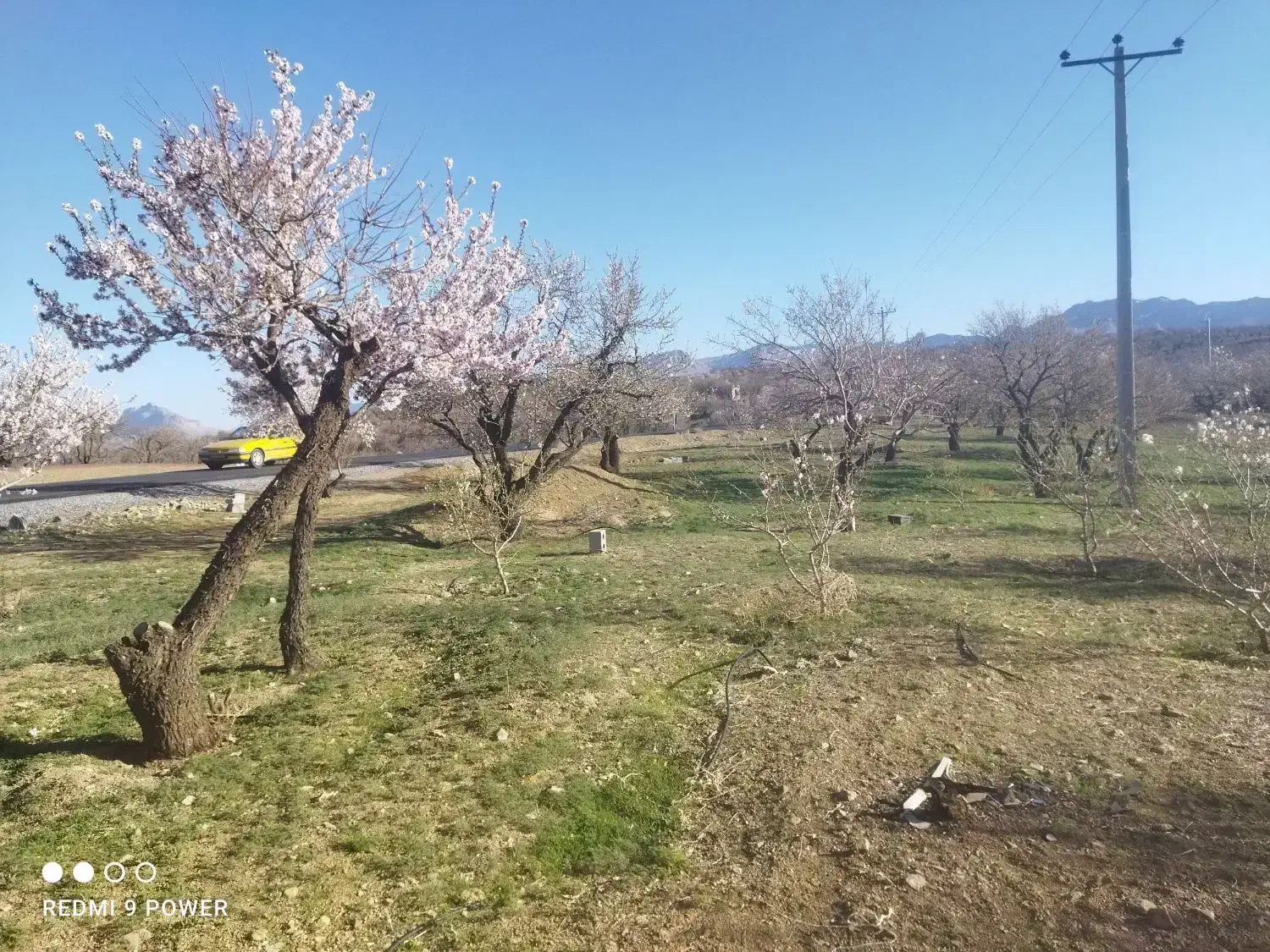 باغ بادام سندی