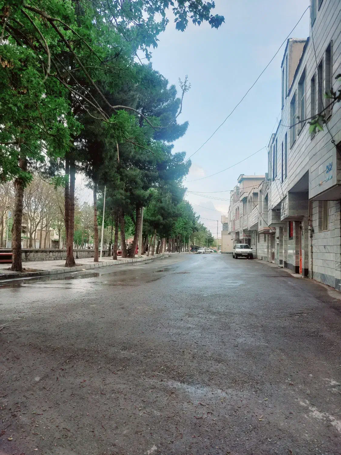 رهن و کرایه خونه