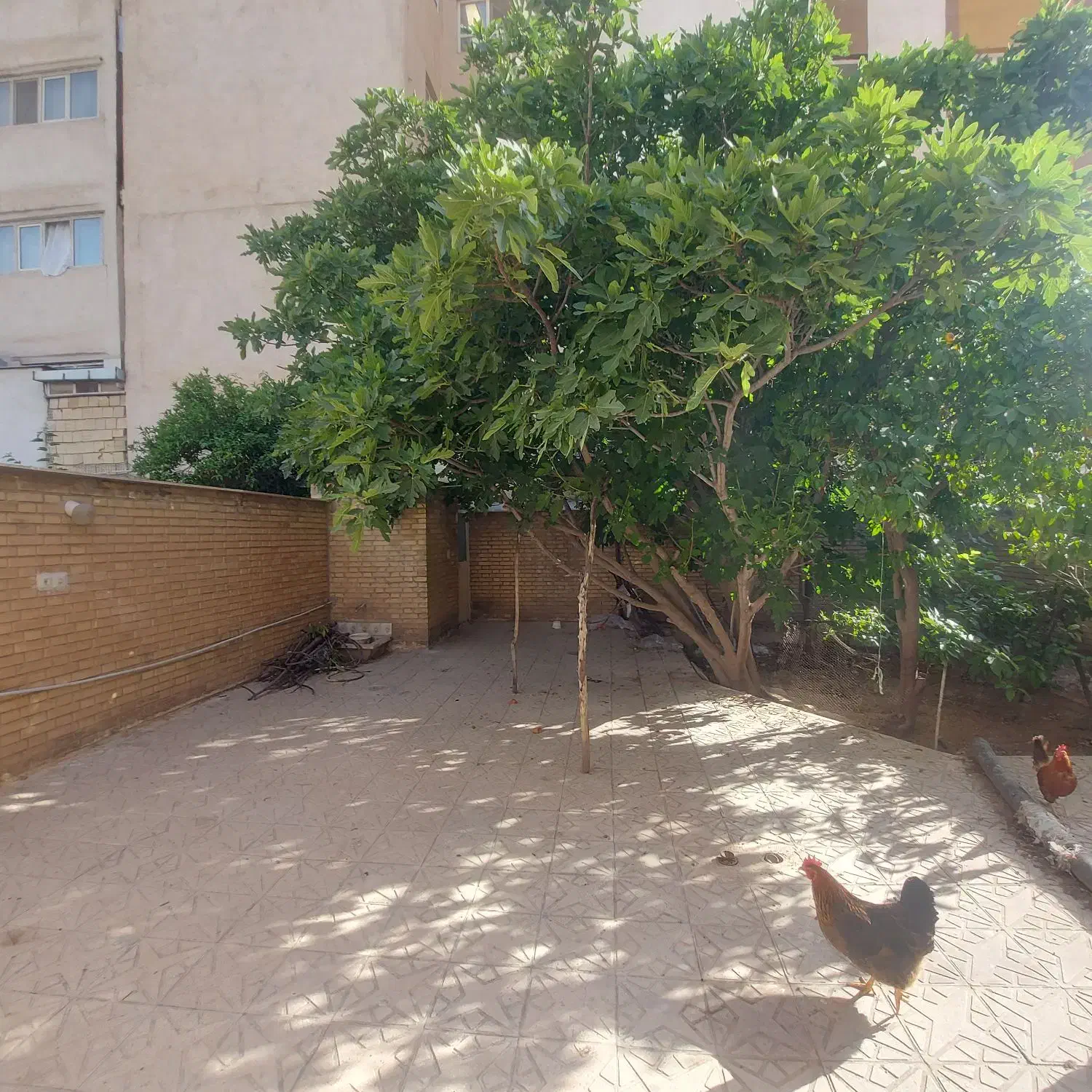 ویلایی سالن بزرگ