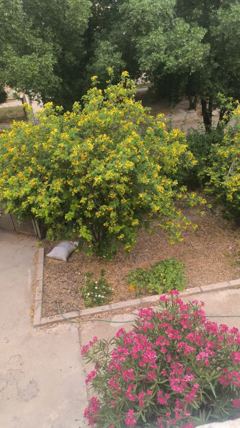 زمین نور آباد سند دار
