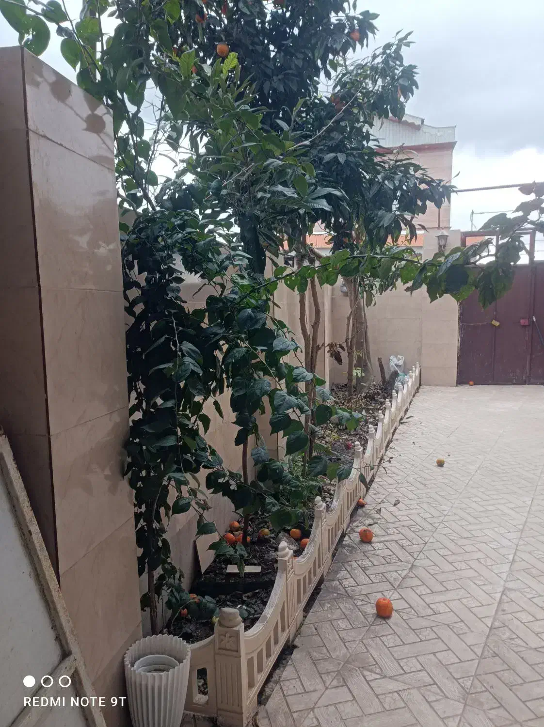 اجاره روزانه خانه ویلایی